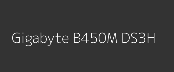 Gigabyte B450M DS3H